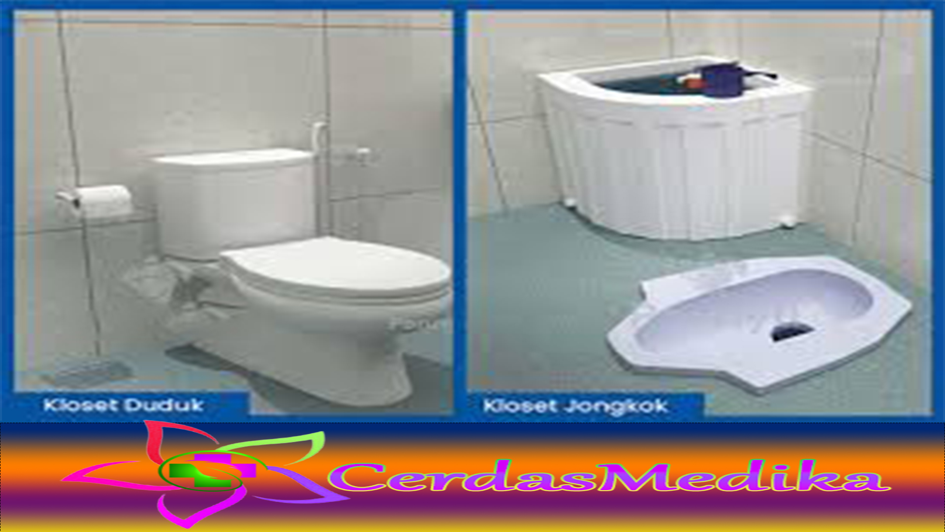 Mana yang Lebih Sehat, Toilet Jongkok atau Toilet Duduk