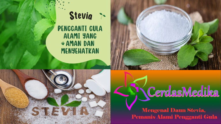 Mengenal Daun Stevia, Pemanis Alami Pengganti Gula