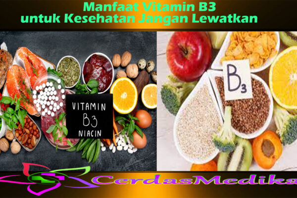 Manfaat Vitamin B3 untuk Kesehatan Jangan Lewatkan