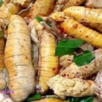 Manfaat Telur Ikan untuk Kesehatan yang Jarang Diketahui