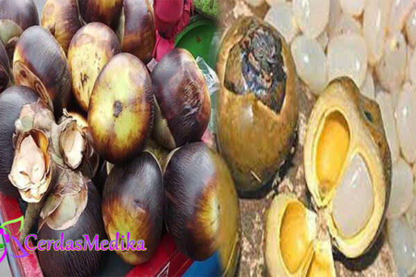 Ketahui Nutrisi Manfaat dan Saran Penyajiannya Buah Lontar