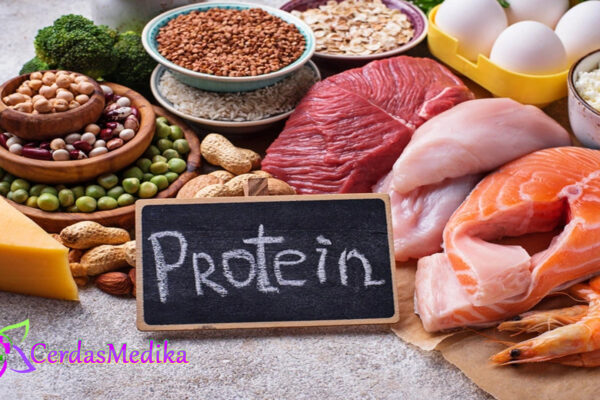 Manfaat Protein dan Sumbernya yang Penting untuk Kesehatan