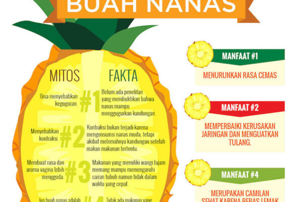 Manfaat Konsumsi Nanas pada Ibu Menyusui? Manfaat Konsumsi Nanas pada Ibu Menyusui?