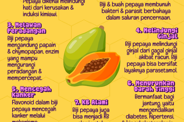 Ketahui Manfaat Biji Pepaya Ketahui Manfaat Biji Pepaya