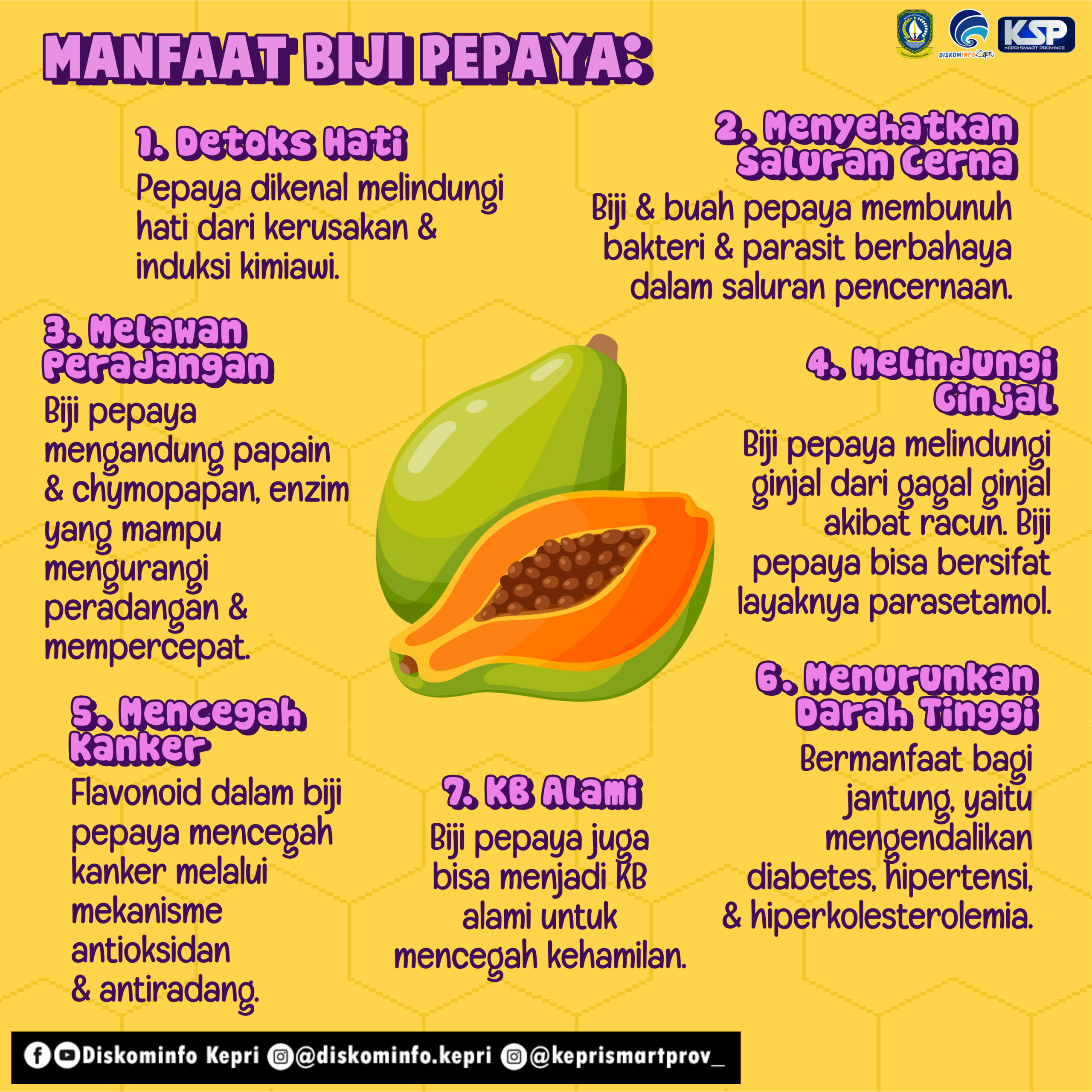 Ketahui Manfaat Biji Pepaya